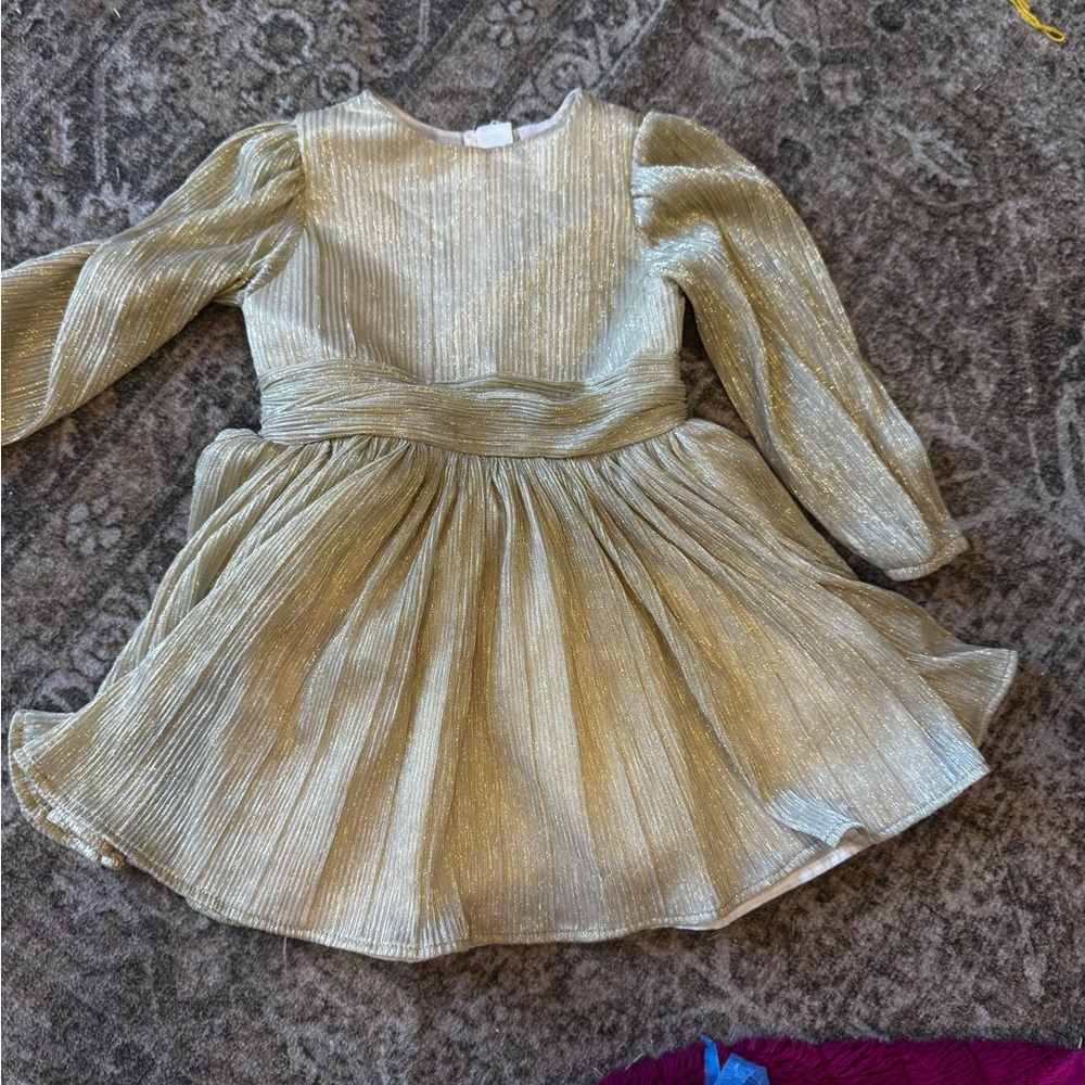 Shimmering Gold Long Sleeve Dress